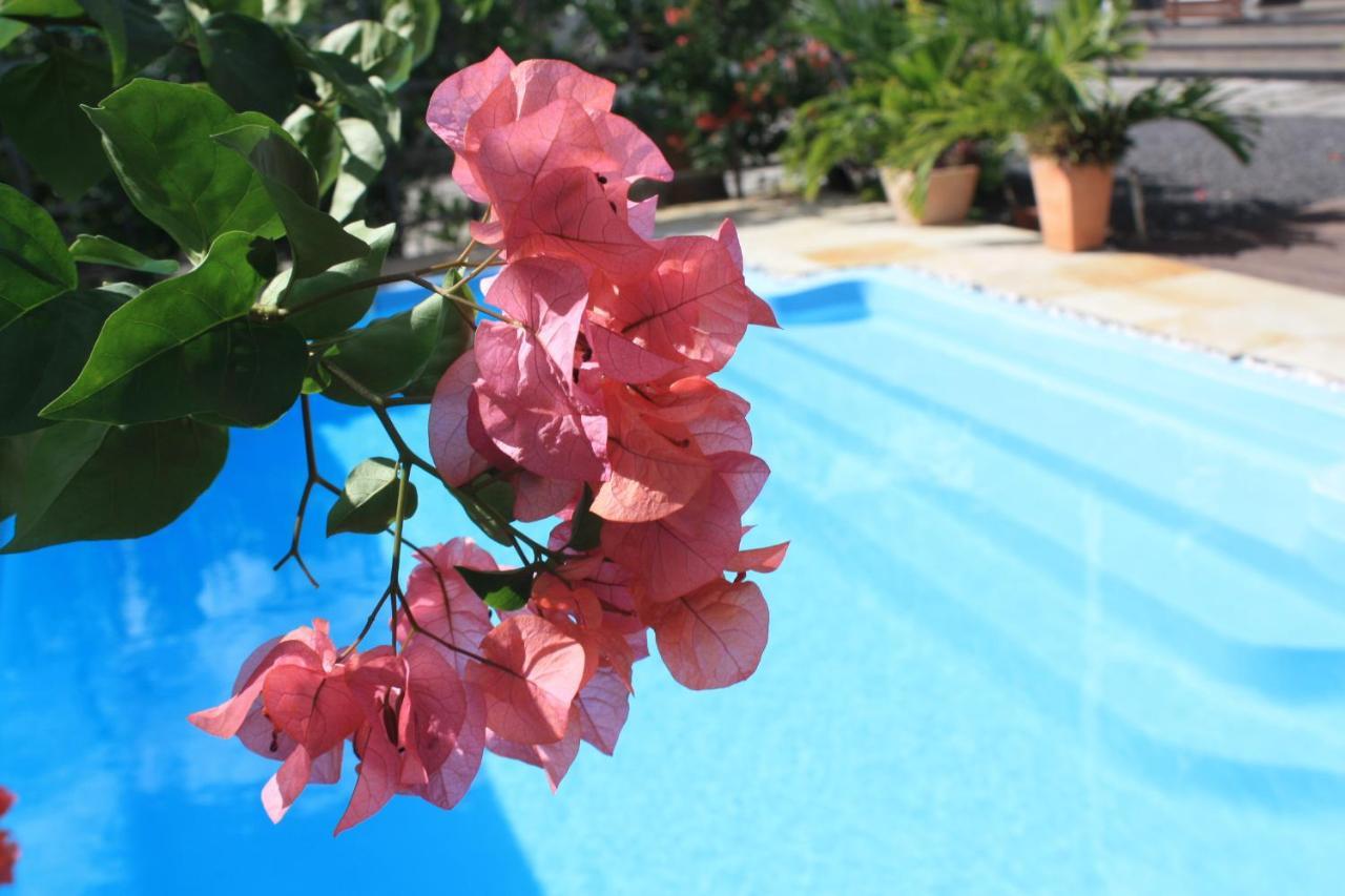 Roi Holiday Stay Grand-Baie Dış mekan fotoğraf